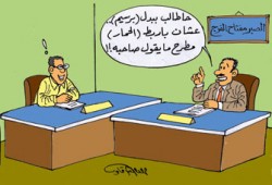 الهيكل الإداري في مصر.. أكبر معوقات التقدم