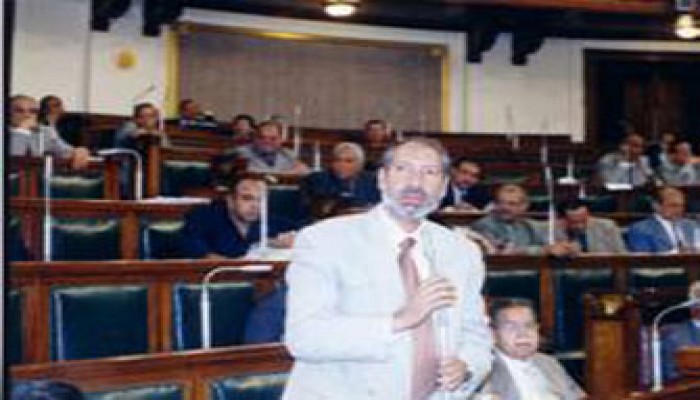 نور الدين وعوض الله يطالبان بحماية ثروة مصر من خام البنتونيت بالفيوم