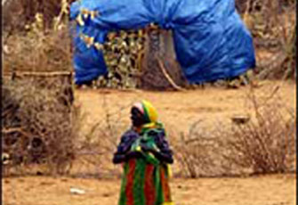 هل يجوز الكذب لأحصل على مقابل أتعابي؟!