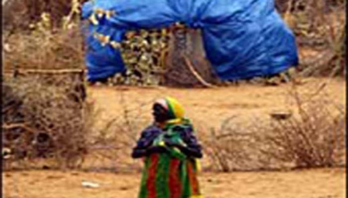 هل يجوز الكذب لأحصل على مقابل أتعابي؟!