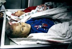 الصحف العالمية تستعرض أوضاع أحوال المعارضة المصرية والاعتداءات الصهيونية