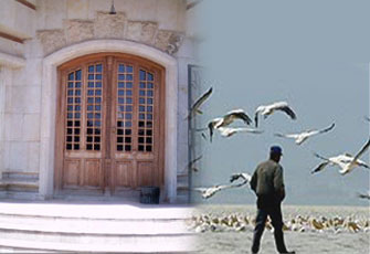 أزواج اليوم.. لماذا يهجرون عش الزوجية؟