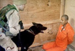 استقالة رئيس (CIA) ونفي أمريكي لتعذيب السجناء