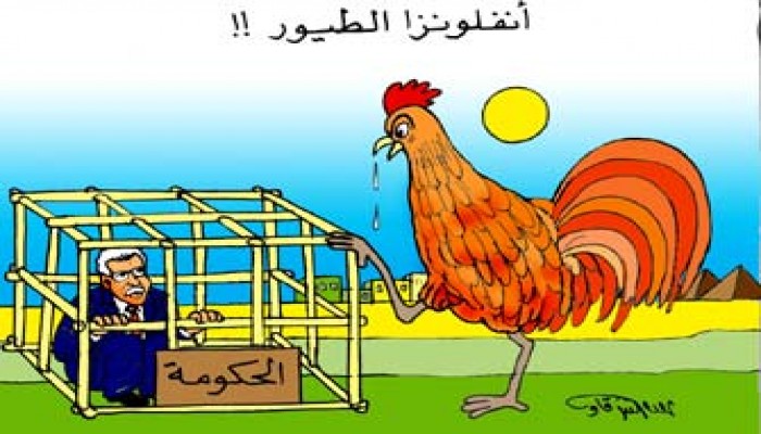 أنت الذي قتلت "فراخي"!