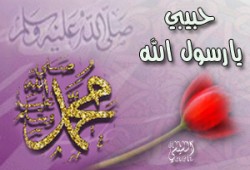 محمد صلى الله عليه وسلم في القرآن الكريم