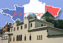 المراكز الإسلامية في الغرب.. إلى أين؟