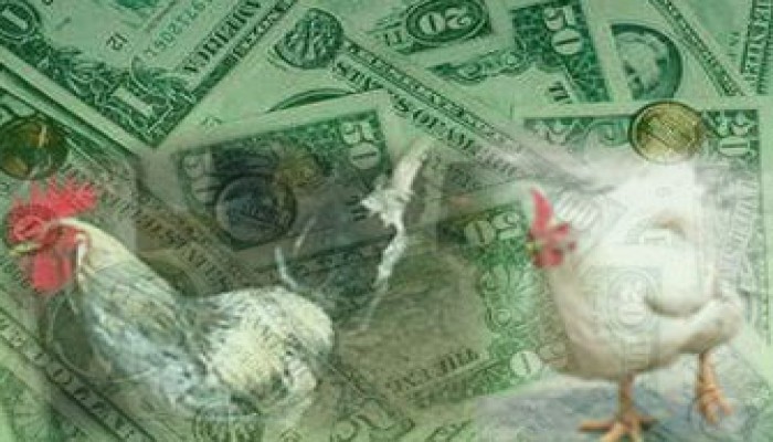 الجوانب الاقتصادية لأزمة أنفلونزا الطيور