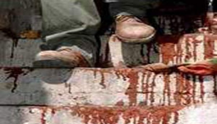 الأمم المتحدة تنتقد الاغتيالات الصهيونية تجاه الفلسطينيين