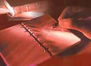 اوعى.. غِشْ تنجح تذاكر تجيب مجموع