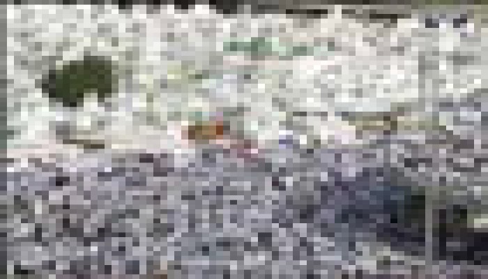 362 قتيلاً في حادث منى منهم 100 مصري