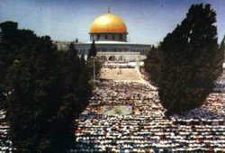 الملايين أدوا الصلاة في العالمين العربي والإسلامي