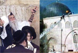 اليهود يدنسون المسجد الأقصى المبارك بحماية شرطة الاحتلال