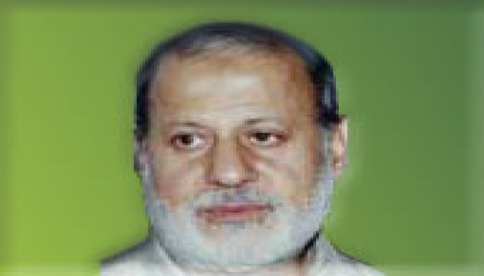 حبيب: الإخوان لا يسعون لأن يكونوا بديلاً لأحد