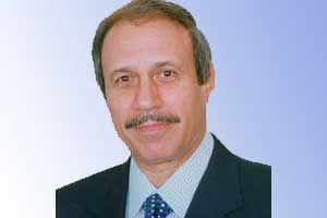 مصر السياسة الداخلية