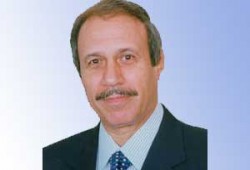 مصر السياسة الداخلية