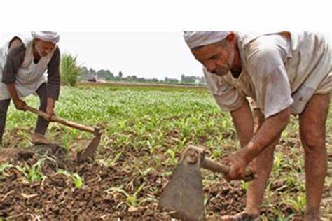 تجاهل "سد النهضة".. الانقلاب يجامل إثيوبيا على حساب الزراعة المصرية