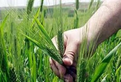 الإخوان المسلمون وقضايا الفلاحين.. تاريخ من التضامن