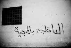 شرطة الانقلاب تعتقل 17 مواطنا من البحيرة