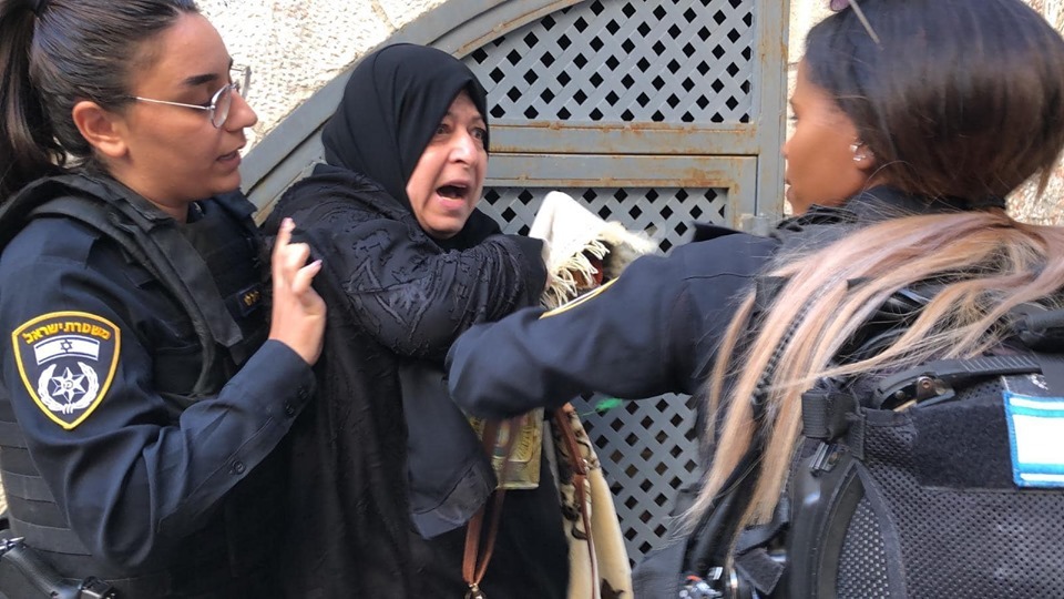 صهاينة يقتحمون الأقصى وقوات الاحتلال تعتدي على المرابطين