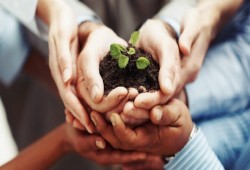 الإخوان في مواجهة الأزمات والكوارث.. تاريخ من التكافل المجتمعي (2/ 3)