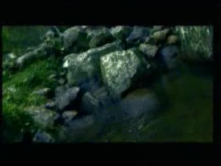 الحلقة الثانية