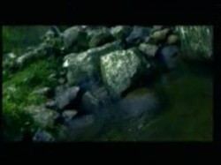 الحلقة الثانية