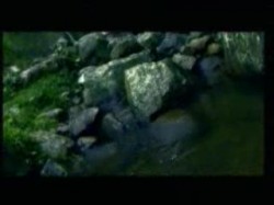 الحلقة الرابعة