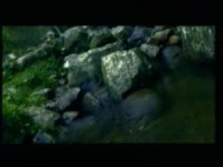 الحلقة الثامنة