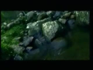 الحلقة الحادية عشرة