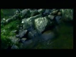 الحلقة السادسة عشرة