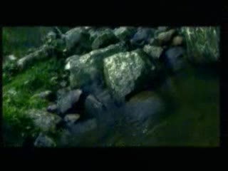 الحلقة العشرون