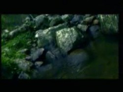 الحلقة العشرون