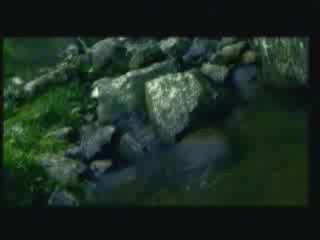 الحلقة الرابعة والعشرون