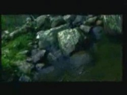 الحلقة الخامسة والعشرون