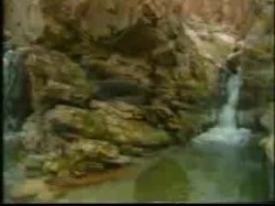 الحلقة الأولى