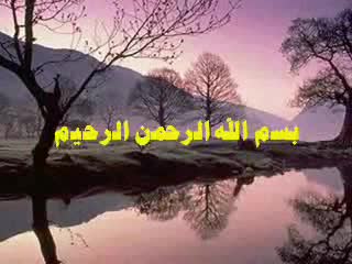 الحلقة الخامسة