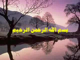 الحلقة الثامنة