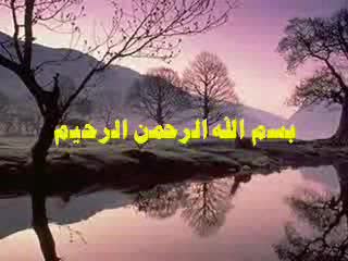 الحلقة التاسعة