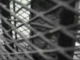 كلمة الشاطر خلال المحاكمة