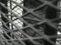 كلمة الشاطر خلال المحاكمة