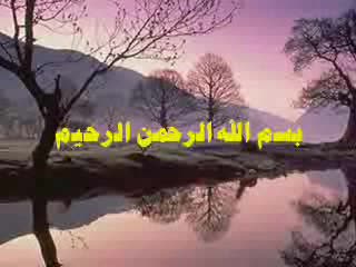 الحلقة التاسعة عشرة