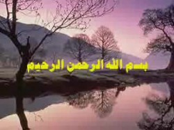 الحلقة العشرون