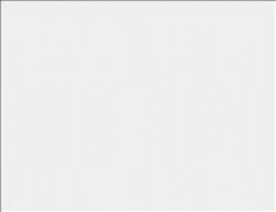 ريم الرياشي