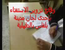 وقائع تزوير الاستفتاء في إحدى لجان بلقاس بالدقهلية