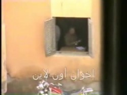 التزوير بمحافظة الفيوم