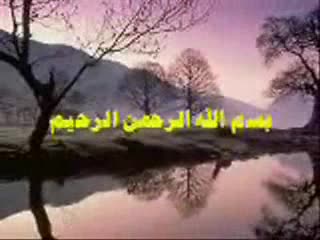 الحلقة الخامسة عشرة