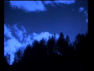 يا رب بالمصطفى