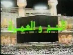 الحلقة الثامنة