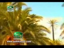 إلى رحاب يثرب