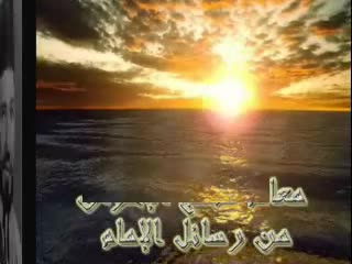 الحلقة الحادية عشرة